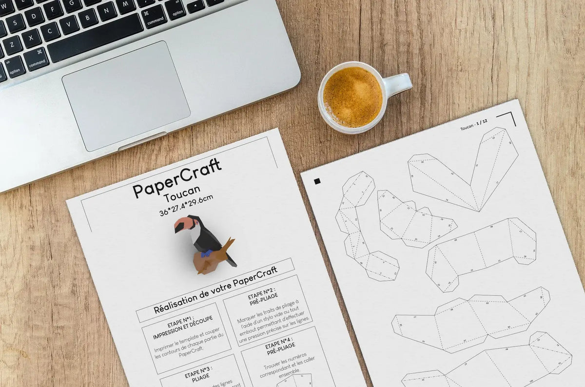 template mise en situation Toucan