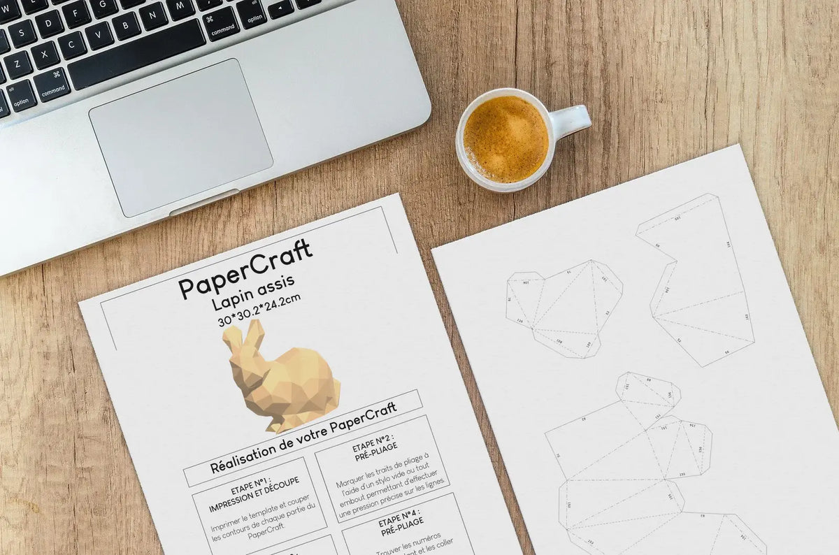 Lapin template mise en situation