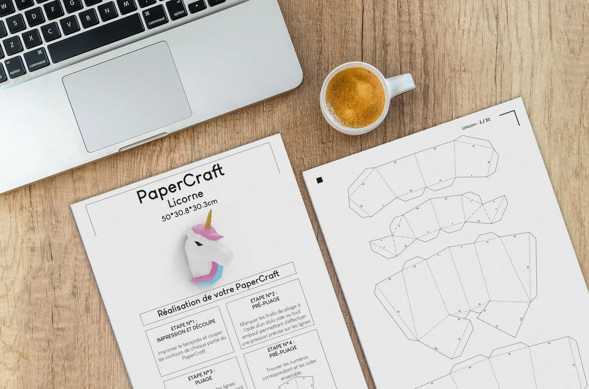 template mise en situation licorne png