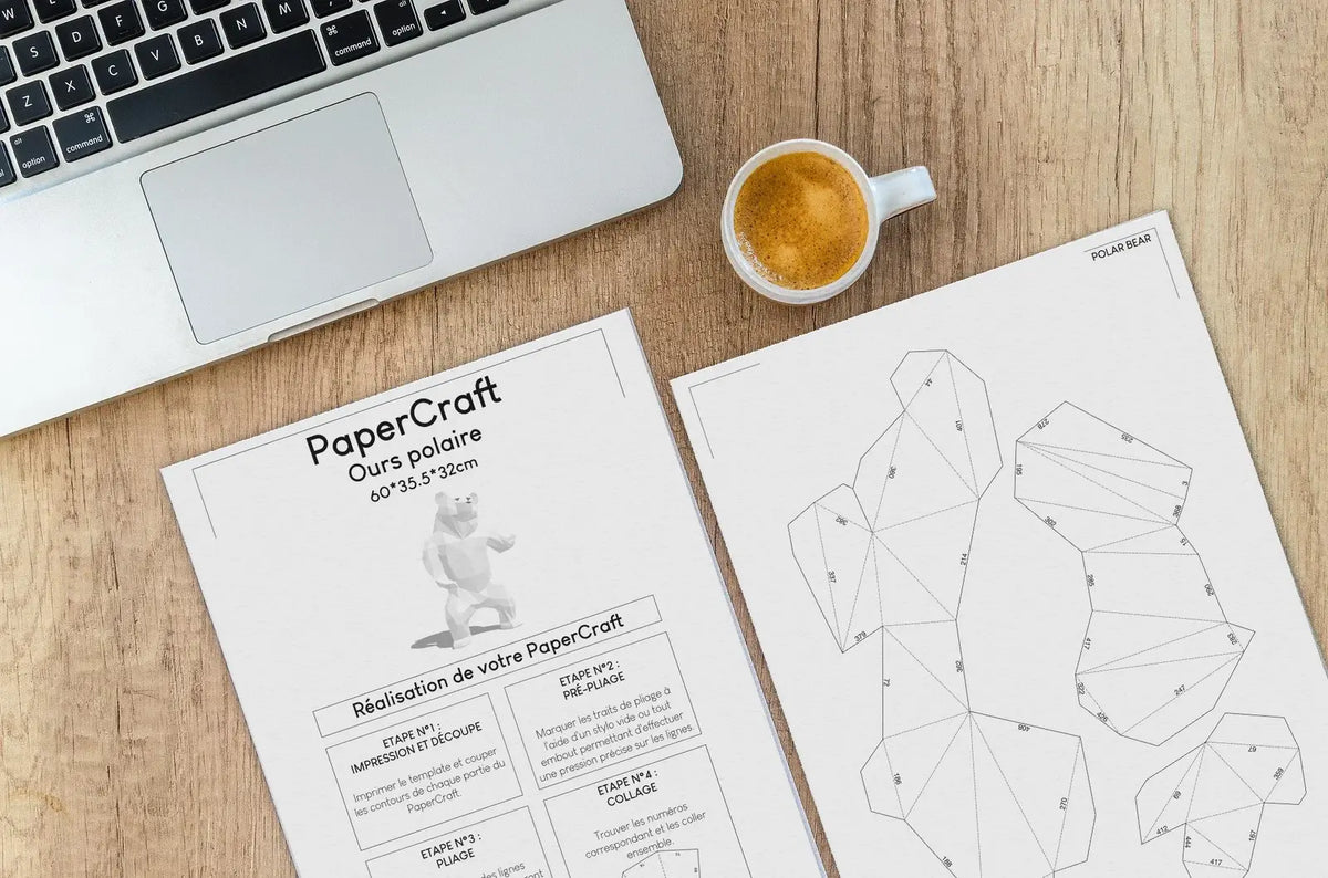 template mise en situation ours polaire