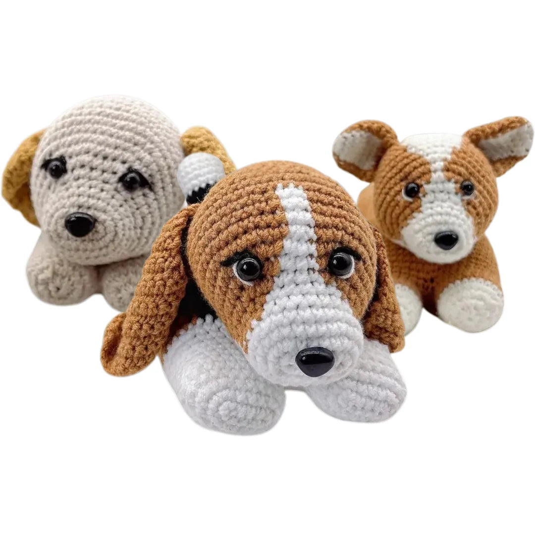 chien (1)