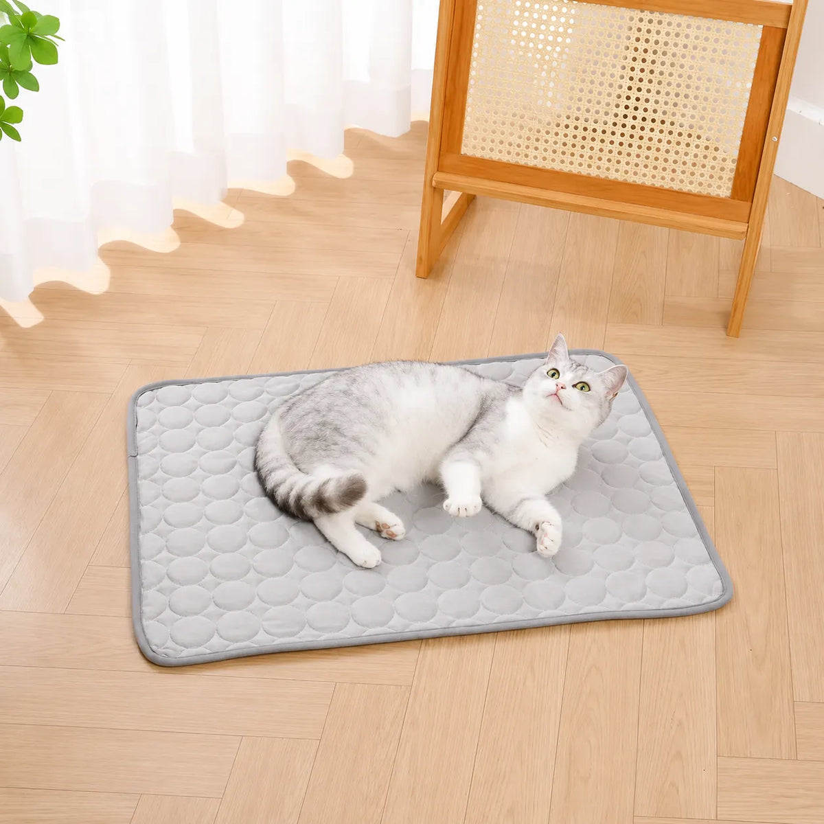 Freshness Mat