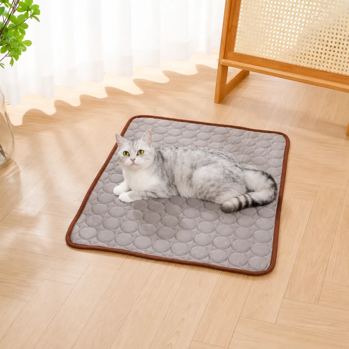 Freshness Mat