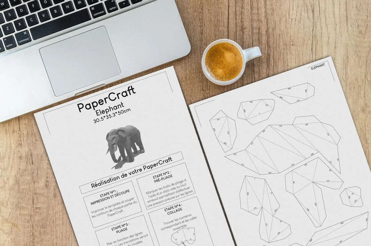 template mise en situation Elephant