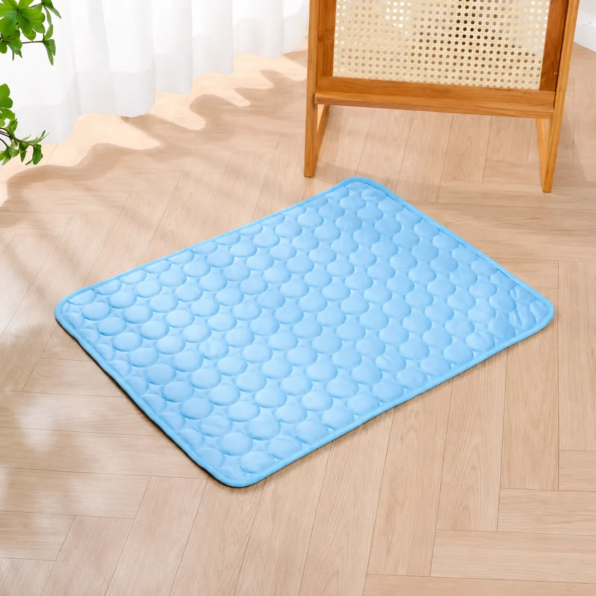 Freshness Mat