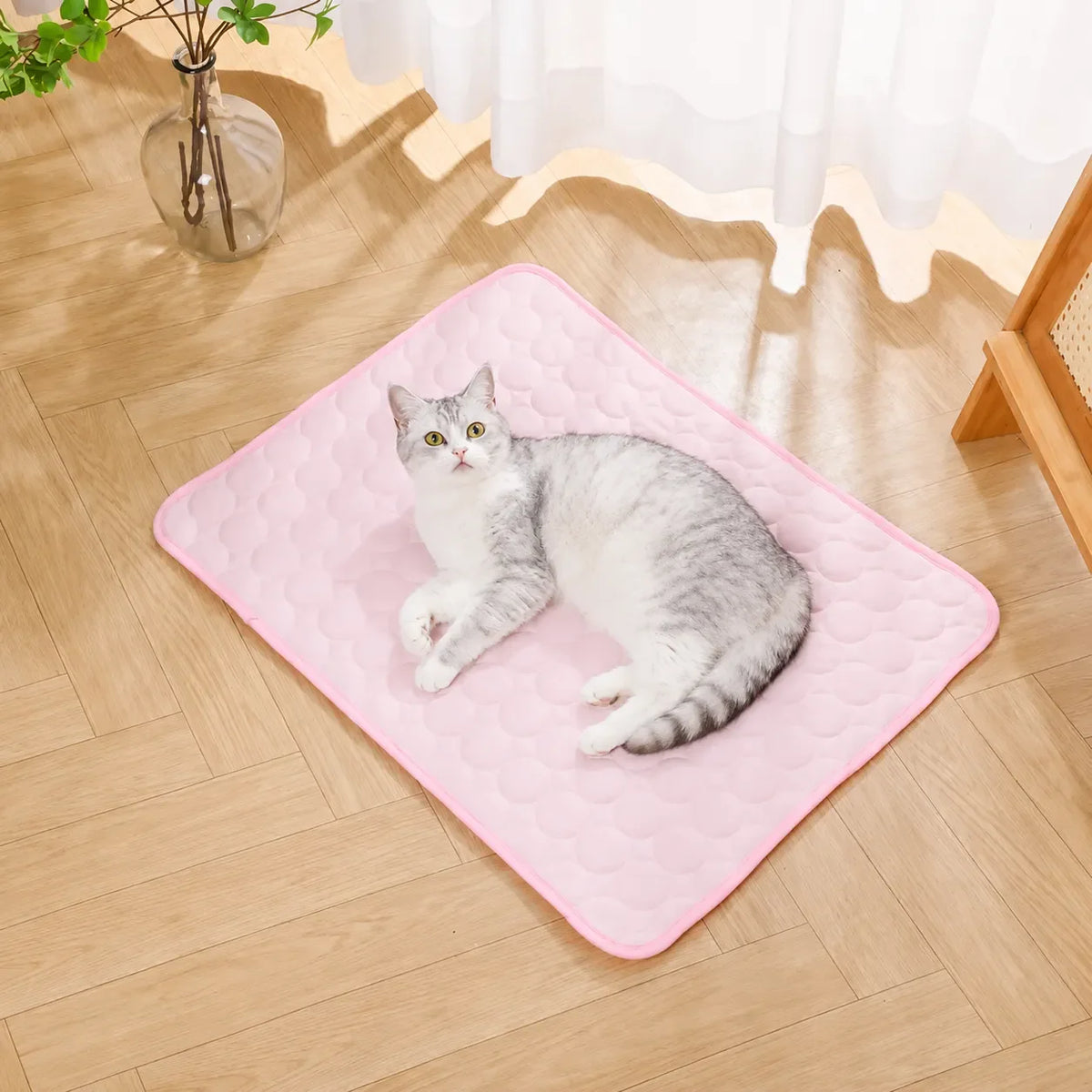 Freshness Mat