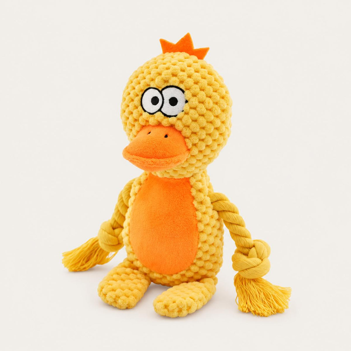 Canard